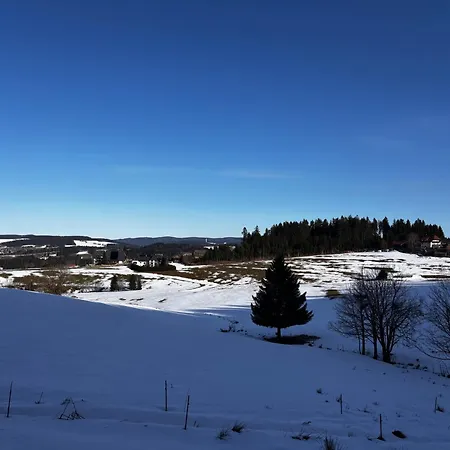 Bed and breakfast Naturfreundehaus Fahrenberg Breitnau